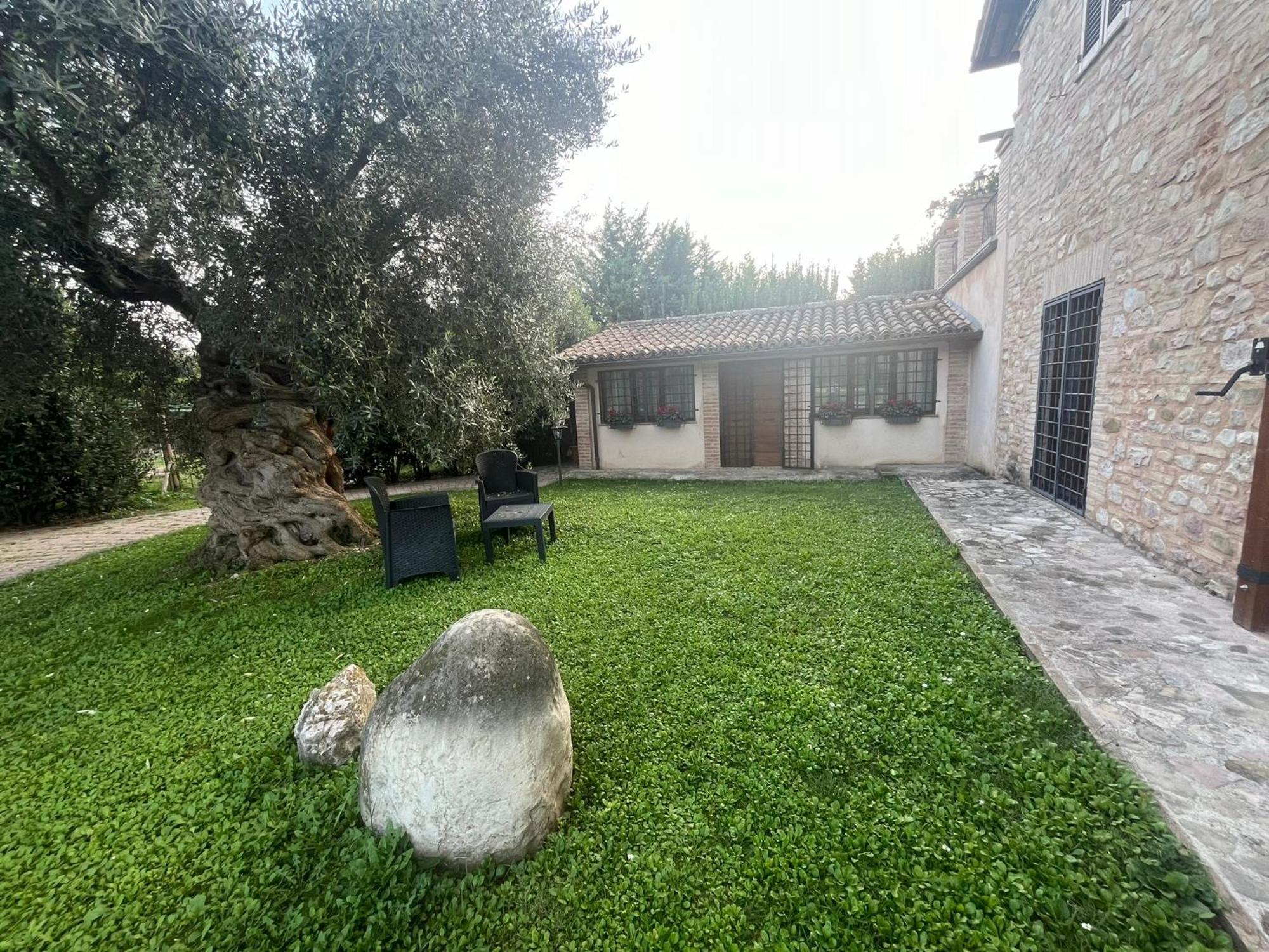 B&B L'Ulivo Incantato Spello Esterno foto